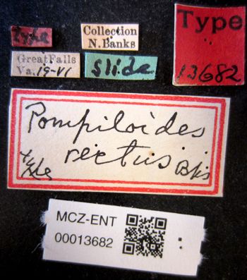 Media type: image;   Entomology 13682 Aspect: labels